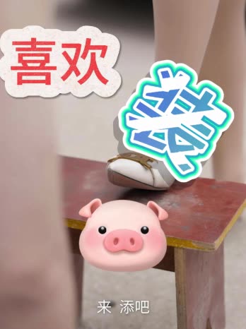 喜欢装猪封面