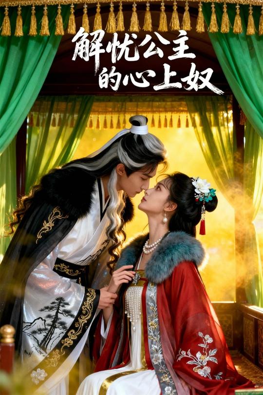 解忧公主的心上奴封面