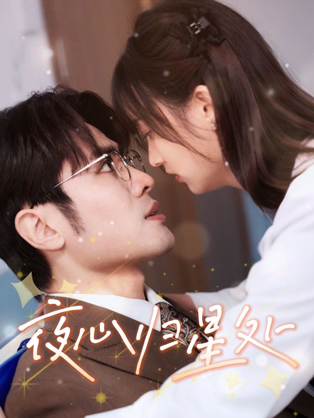 夜心归星处封面