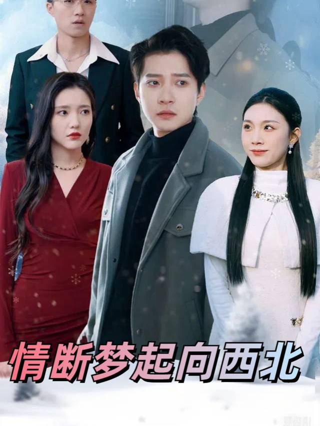 情断梦起向西北封面