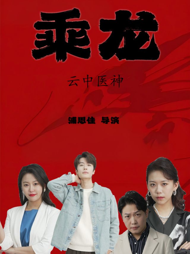 乘龙之云中医神封面