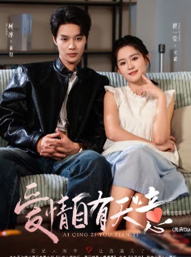 爱情自有天意()封面