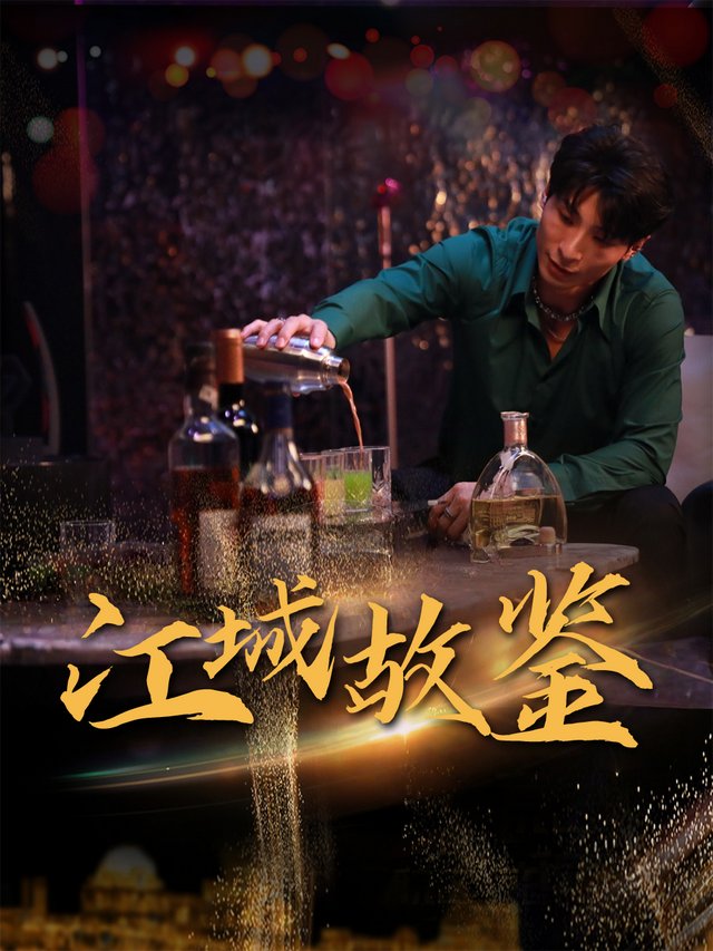 江城故鉴封面