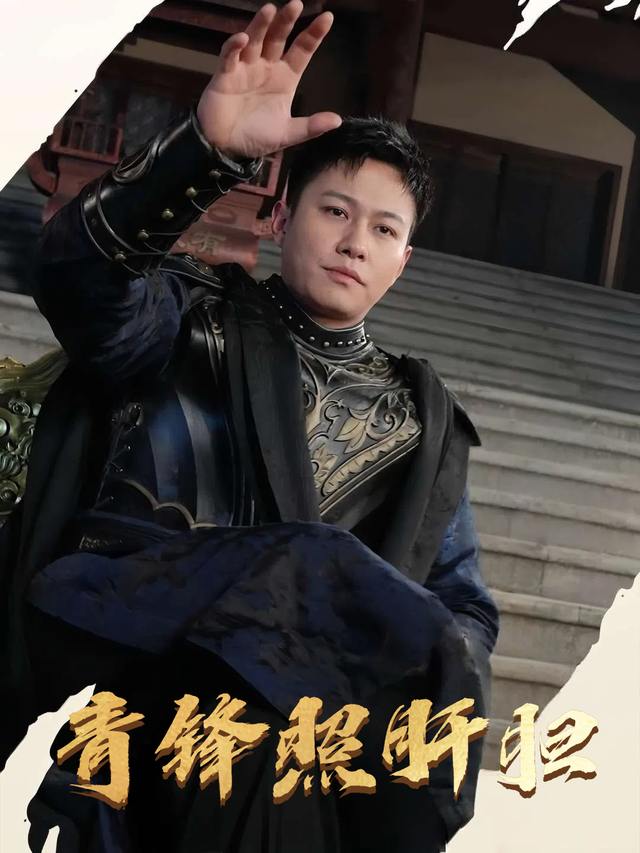 青锋照肝胆封面