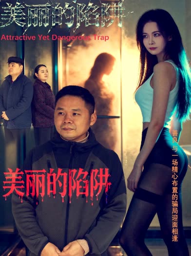 美丽的陷阱封面