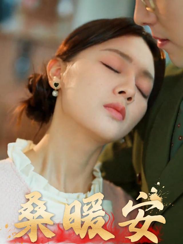 桑暖安封面