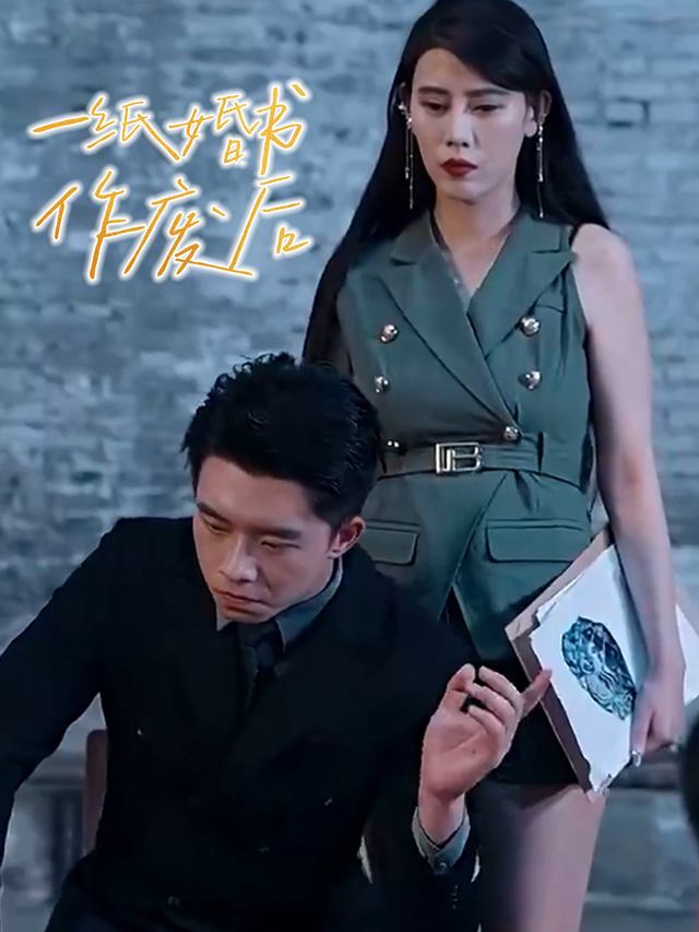 一纸婚书作废后封面