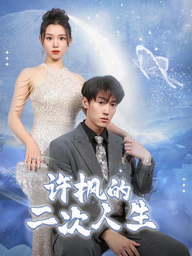 许枫的二次人生封面
