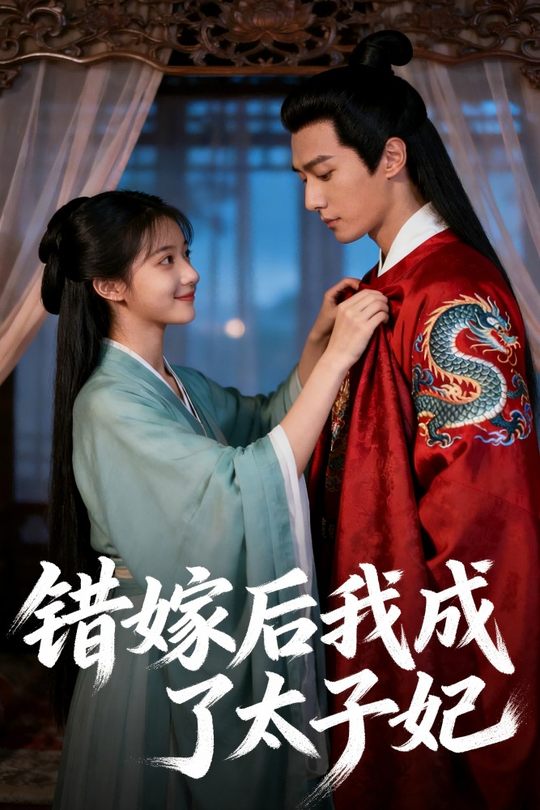 错嫁后我成了太子妃封面