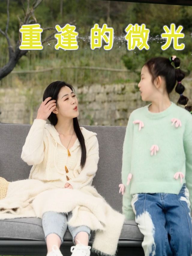 重逢的微光封面