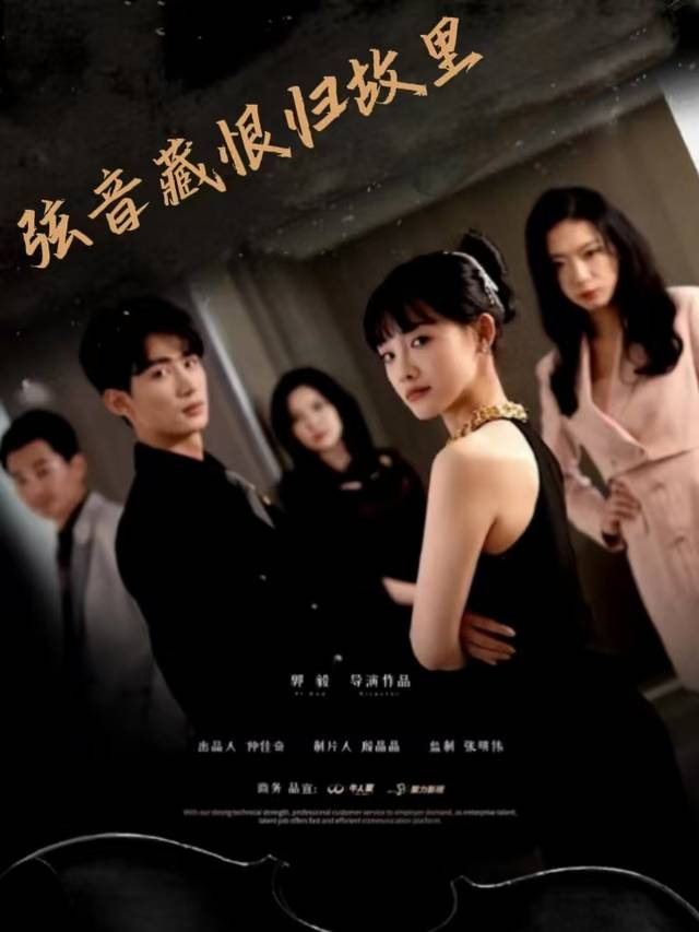 弦音藏恨归故里封面