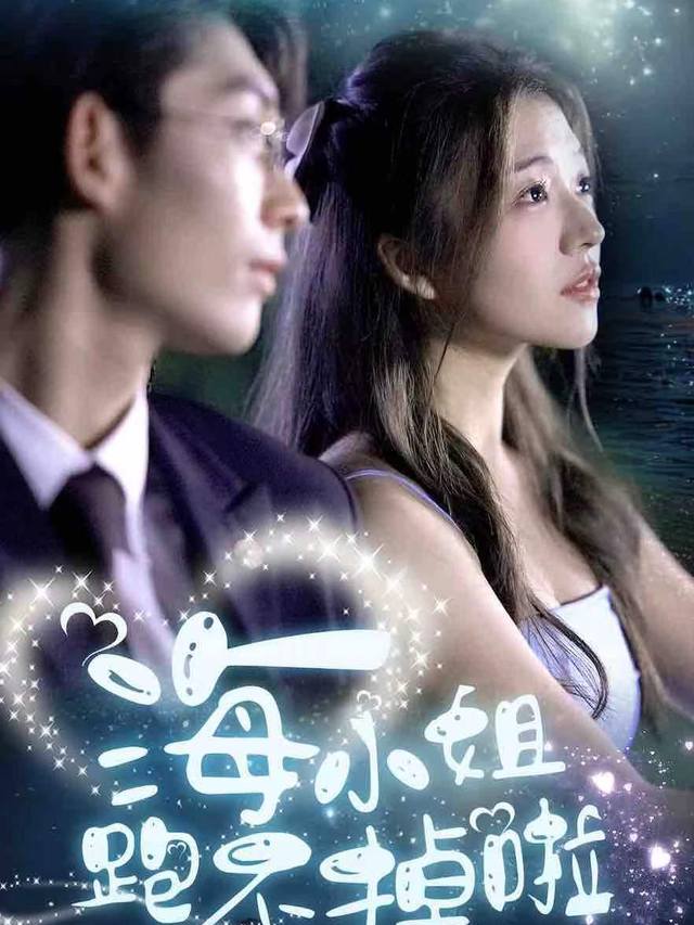 海小姐的追爱困局封面