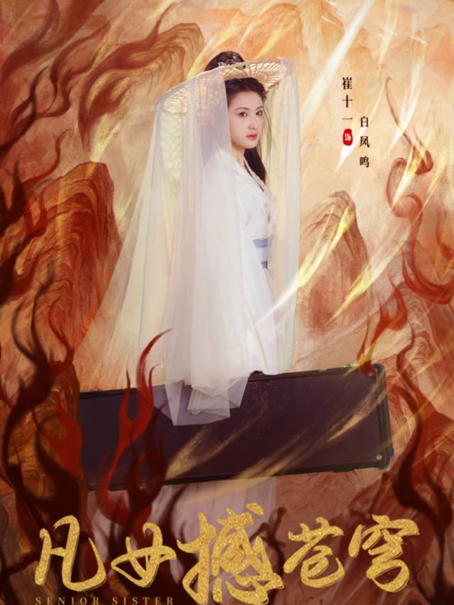 凡女撼苍穹封面