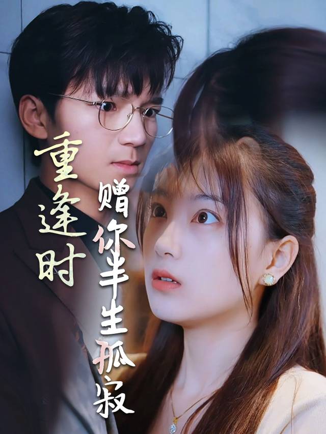 重逢时,赠你半生孤寂封面