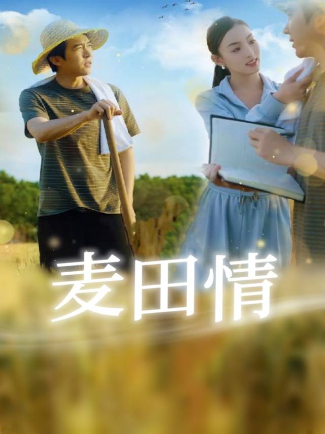 麦田情封面