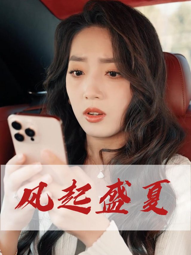风起盛夏封面
