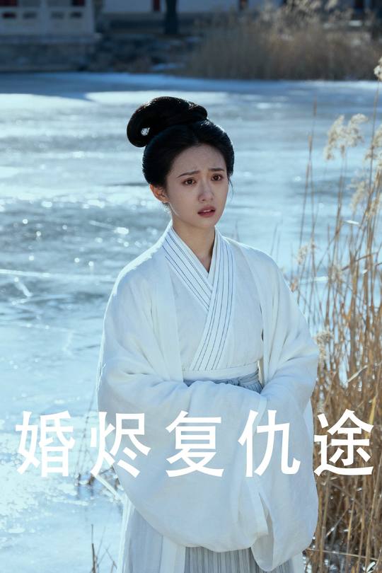婚烬复仇途封面