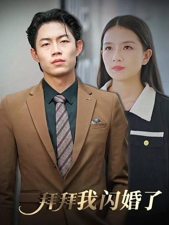 拜拜我闪婚了封面