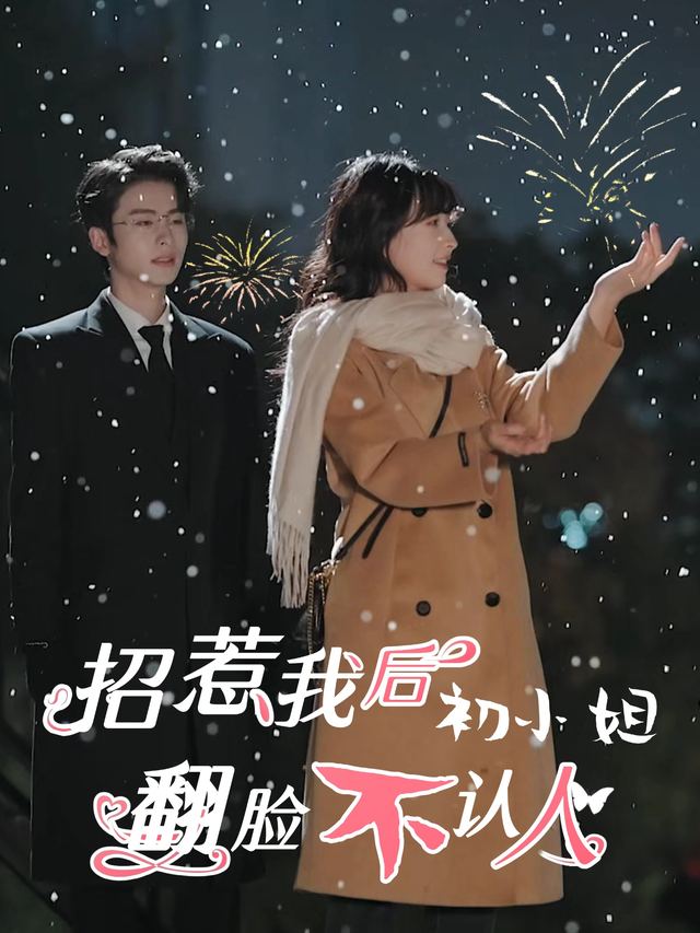 招惹我后,初小姐翻脸不认人封面