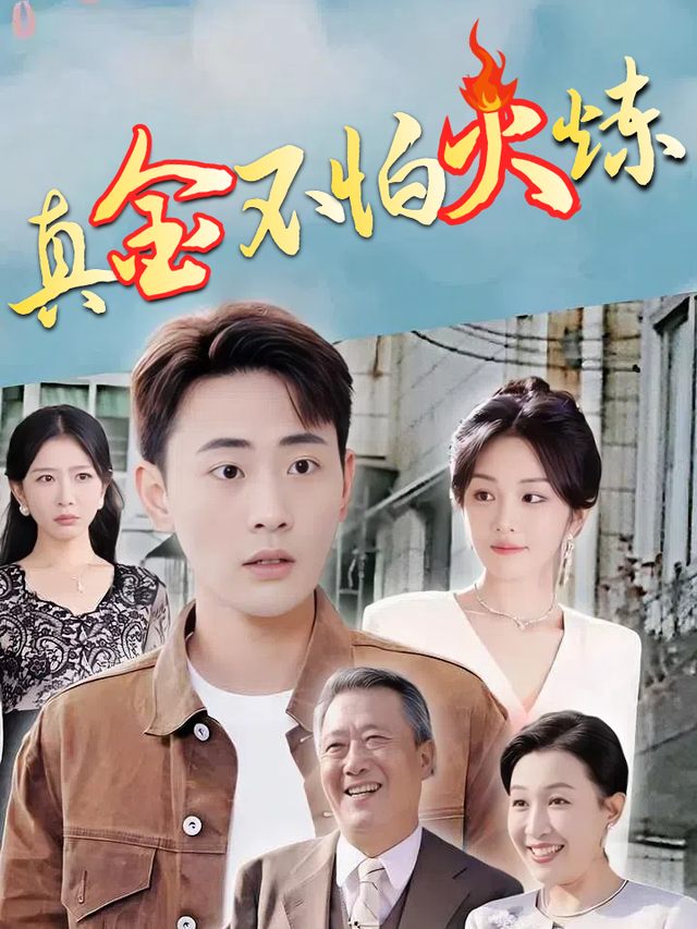 真金不怕火炼封面