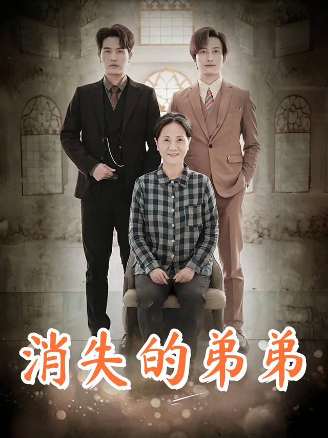 消失的弟弟封面