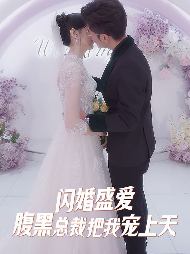 闪婚盛爱,腹黑总裁把我宠上天封面