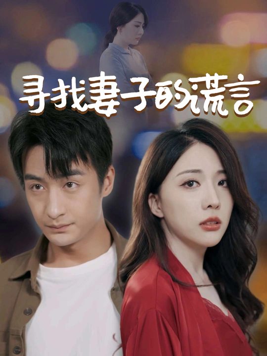 寻找妻子的谎言封面