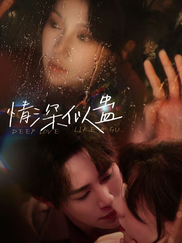 情深似蛊封面