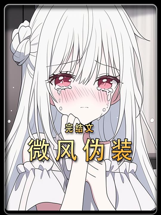 微风伪装第一季完结封面
