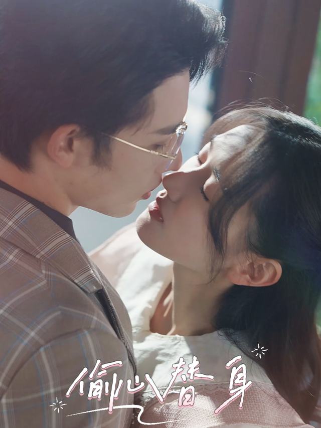 偷心替身封面