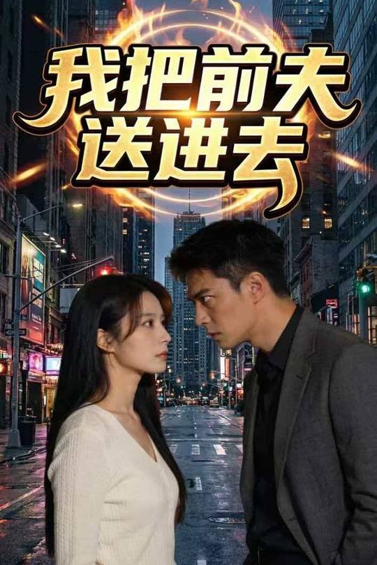 我把前夫送进去封面