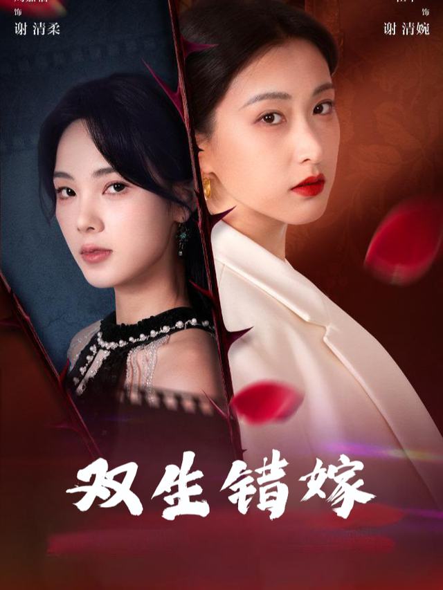 双生错嫁封面