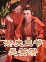 娇夫王爷是赘婿封面