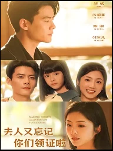 夫人又忘记你们领证啦封面