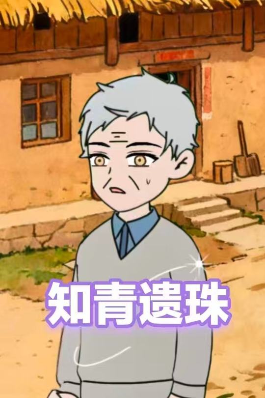 知青遗珠封面