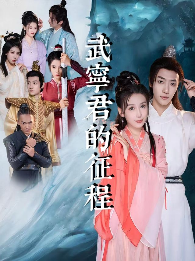 武宁君的征程封面
