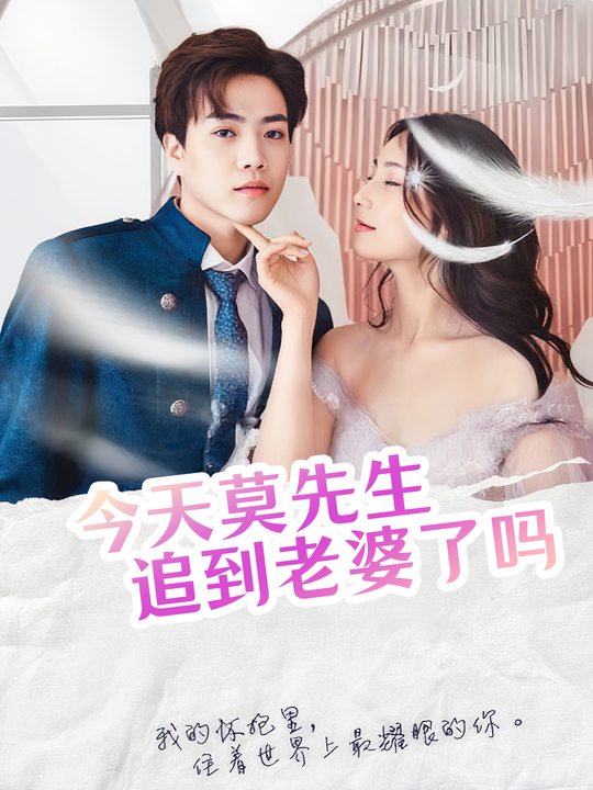 今天莫先生追到老婆了吗封面