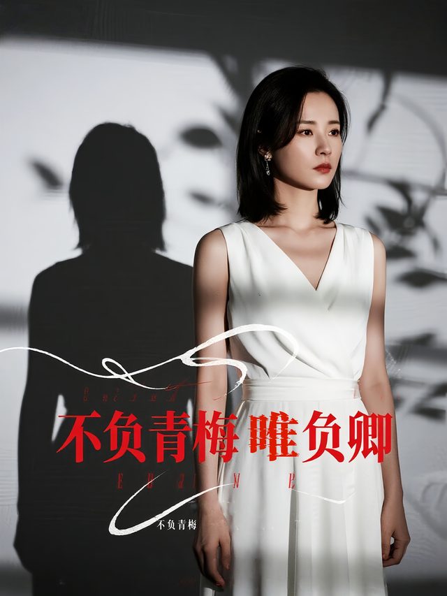 不负青梅唯负卿封面