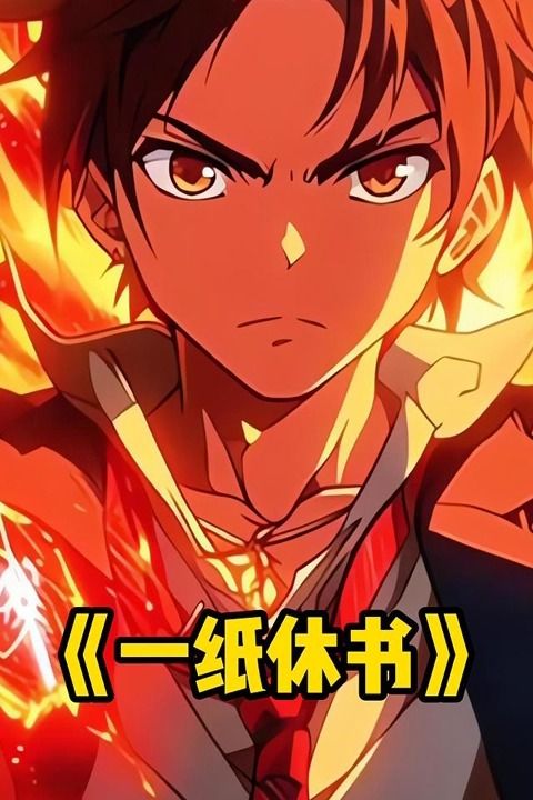 一纸休书封面