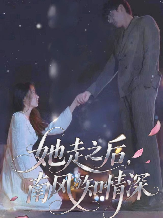她走之后,南风方知情深封面