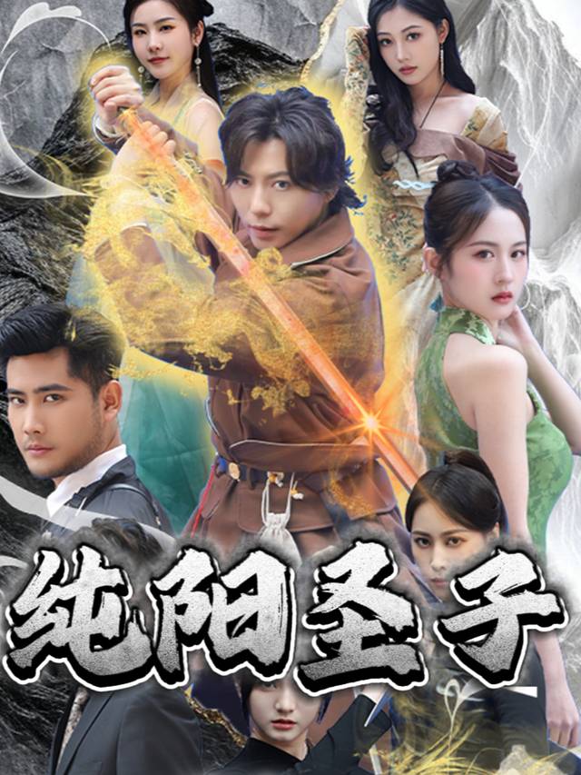 纯阳圣子封面