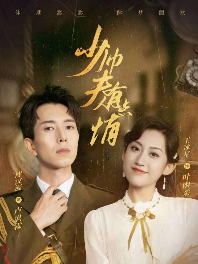 少帅夫人有点俏封面