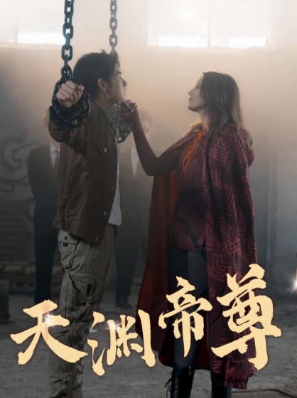 天渊帝尊封面