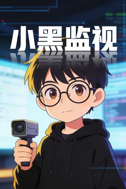 小黑监视封面