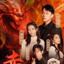 赤龙印封面