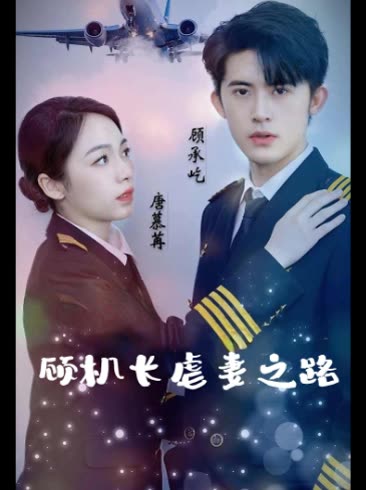 顾机长虐妻之路封面