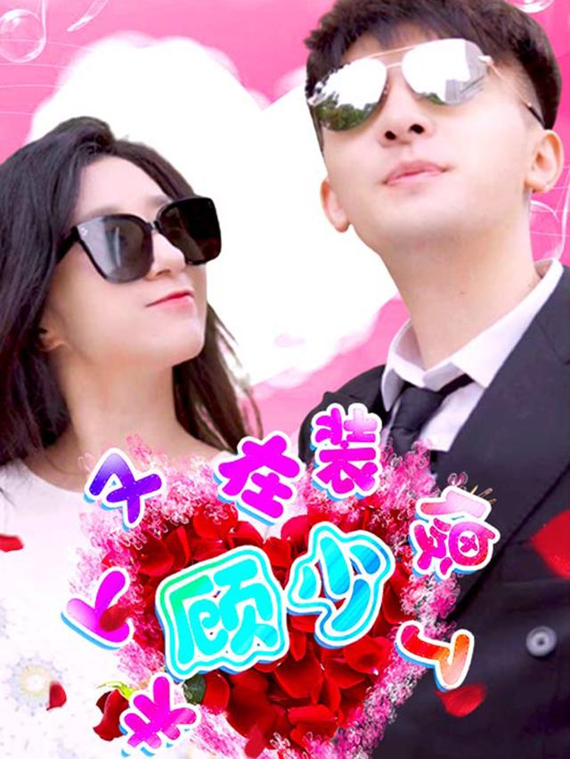 顾少,夫人又在装傻了封面