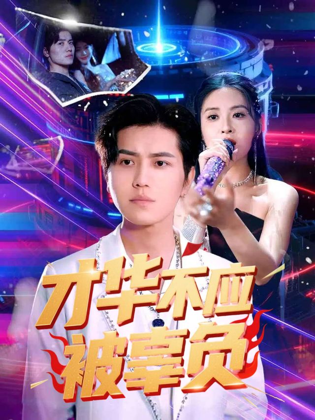 才华不应被辜负封面