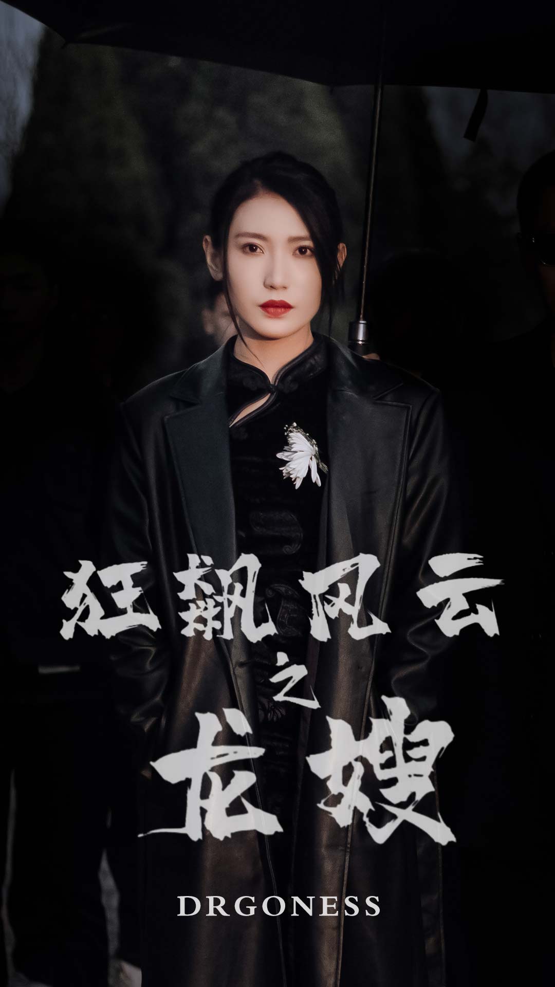 狂飙风云之龙嫂封面