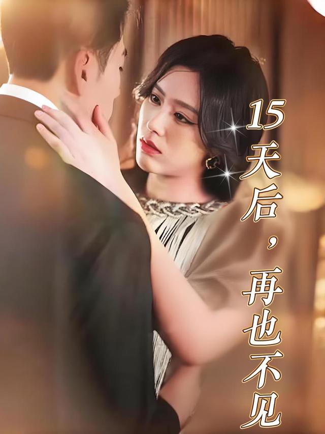 15天后,再也不见封面